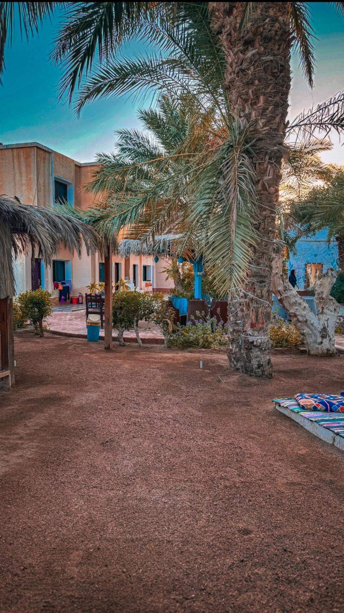 מלון Miramar Camp דהב מראה חיצוני תמונה